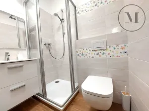 Prodej bytu 1+kk, Benešov nad Černou, 18 m2