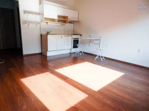 Pronájem bytu 2+kk, Teplice - Nová Ves, Habrová, 43 m2