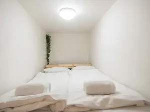 Pronájem bytu 1+1, Praha - Karlín, Vítkova, 43 m2