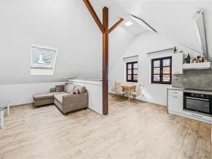 Prodej činžovního domu, Domažlice - Město, Spálená, 312 m2