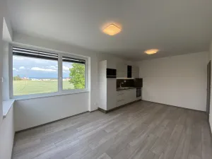 Pronájem bytu 2+kk, Mladá Boleslav - Čejetice, Nad Červenkou, 46 m2