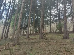 Prodej lesa, Francova Lhota, 5161 m2
