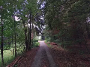 Dražba pozemku, Jívka, 1825 m2