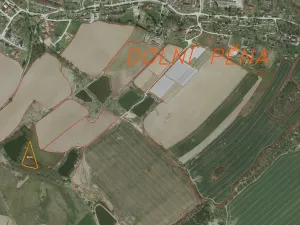 Dražba louky, Dolní Pěna, 4291 m2