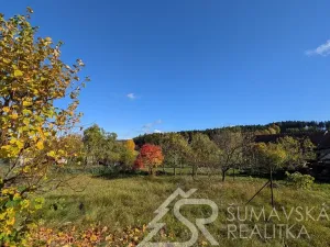 Prodej pozemku, Soběšice - Damíč, 716 m2