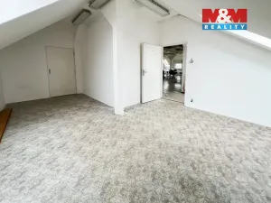 Prodej obchodního prostoru, Katovice, Kolářova, 400 m2