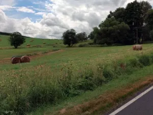 Prodej pozemku, Mnichov, 12065 m2