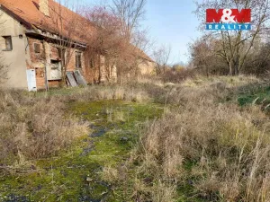 Prodej zemědělské usedlosti, Třebovle - Miškovice, 500 m2