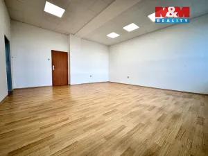 Pronájem kanceláře, České Budějovice - České Budějovice 3, K. Světlé, 35 m2