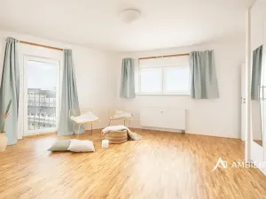 Prodej bytu 6+kk a větší, Brno, Čápkova, 209 m2