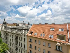 Prodej bytu 6+kk a větší, Brno, Čápkova, 209 m2