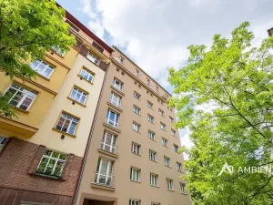 Prodej bytu 6+kk a větší, Brno, Čápkova, 209 m2