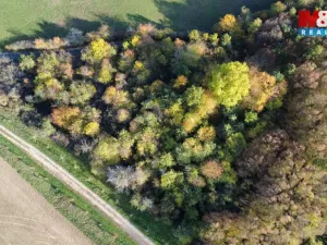 Prodej pole, Milešov, 4731 m2