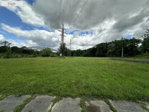 Prodej louky, Týn nad Vltavou, Hněvkovice na pravém břehu Vlt., 1648 m2