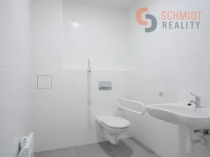 Pronájem ordinace, Břeclav, U Nemocnice, 234 m2