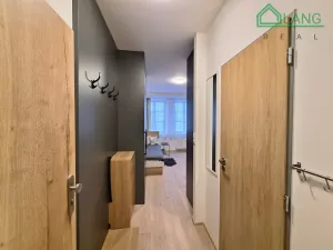 Pronájem bytu 1+kk, Brno, Francouzská, 20 m2