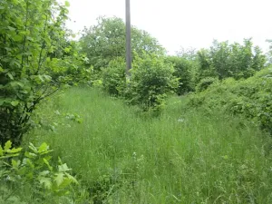 Prodej pozemku, Čížová, 2006 m2