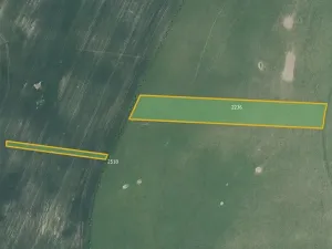 Prodej louky, Bohuslavice u Zlína, 7373 m2