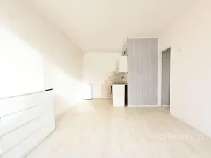 Prodej bytu 2+kk, Litvínov, Kopistská, 41 m2