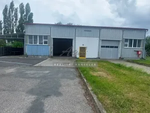 Pronájem skladu, Holubice, 110 m2