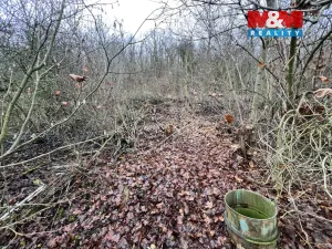 Prodej pozemku pro bydlení, Bílina, 1101 m2