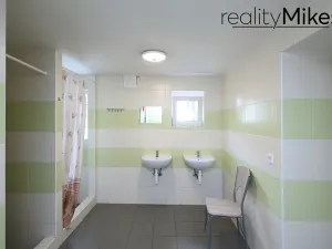 Prodej ubytování, Dobrovice, 500 m2