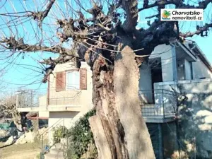 Prodej rodinného domu, Poreč, Chorvatsko, 150 m2