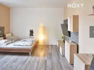 Pronájem bytu 1+kk, České Budějovice, K. V. Raise, 30 m2