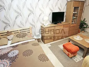 Pronájem bytu 2+1, Mělník, Oldřicha Wenzla, 55 m2