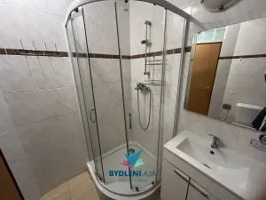 Prodej bytu 3+1, Teplice, U Hadích lázní, 73 m2