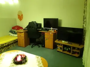 Pronájem bytu 1+1, Ostrava, Havlíčkovo náměstí, 42 m2