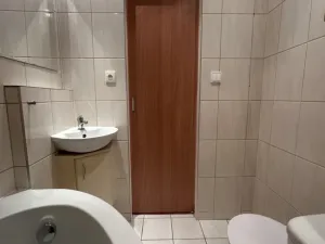 Pronájem bytu 1+1, Ústí nad Labem - Střekov, Tolstého, 37 m2