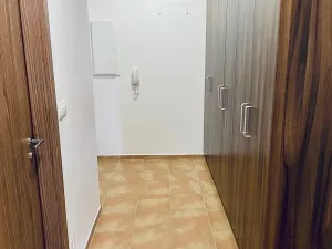 Pronájem bytu 2+kk, Plzeň, U Velkého rybníka, 52 m2