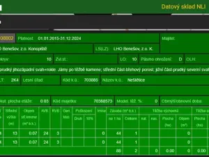 Prodej podílu lesa, Neveklov, 7656 m2