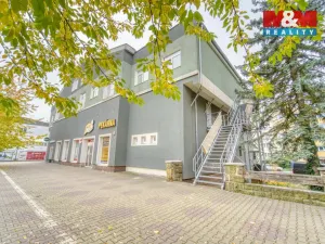 Pronájem bytu 1+kk, Plzeň, Nepomucká, 28 m2