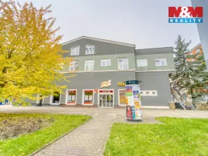 Pronájem bytu 1+kk, Plzeň, Nepomucká, 28 m2