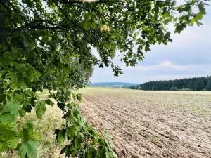 Prodej louky, Herálec, 35197 m2