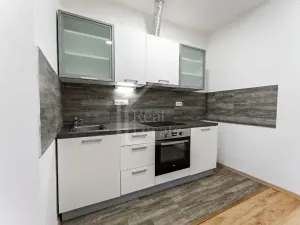 Pronájem bytu 1+1, Praha - Nusle, Oldřichova, 48 m2