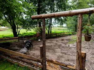 Prodej rodinného domu, Litíč, 60 m2