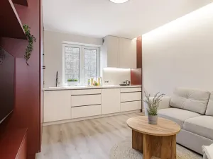 Prodej bytu 2+kk, Ostrava, Čujkovova, 29 m2