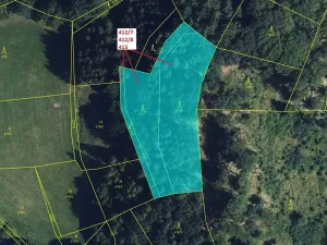 Dražba lesa, Vranová Lhota, 3744 m2