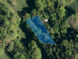 Dražba lesa, Zděchov, 1413 m2
