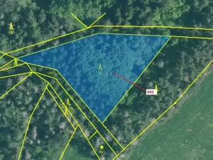 Dražba lesa, Kuřimany, 2947 m2