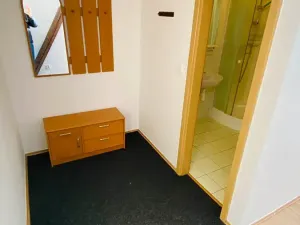 Pronájem bytu 2+kk, Brno, Ptašínského, 53 m2