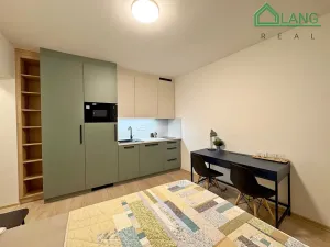 Pronájem bytu 1+kk, Brno, Francouzská, 22 m2