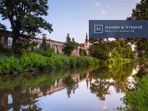 Pronájem bytu 1+kk, Brno, Francouzská, 26 m2