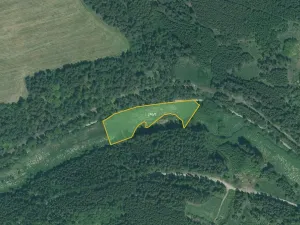 Prodej louky, Bor, 4514 m2