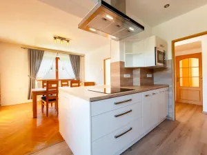 Pronájem rodinného domu, Šebrov-Kateřina - Šebrov, 241 m2