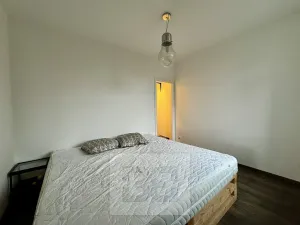 Pronájem bytu 2+kk, Brno, Tomanova, 52 m2