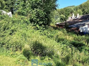 Prodej louky, Trutnov - Babí, 6930 m2